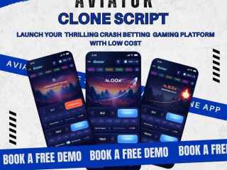 crash-betting-made-easy-aviator-clone-script-at-year-end-discounts