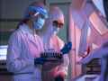 your-go-to-source-for-pharma-companies-in-india-chemxpert-database-small-0