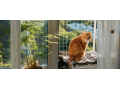 balcony-safety-nets-chennai-small-0