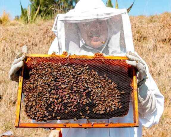 premium-beekeeping-gloves-maximum-protection-comfort-big-0