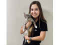 boulevard-animal-hospital-small-0