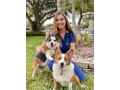 boulevard-animal-hospital-small-2
