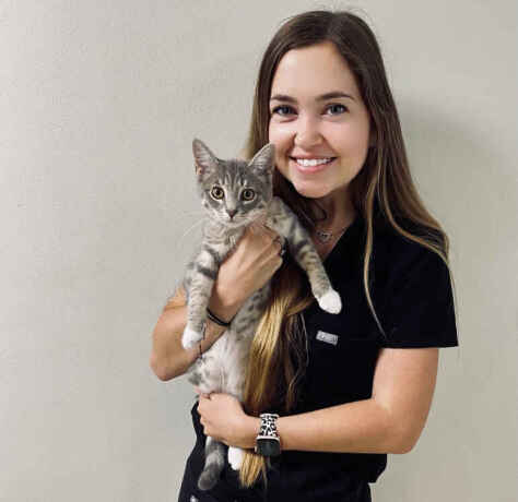 boulevard-animal-hospital-big-0
