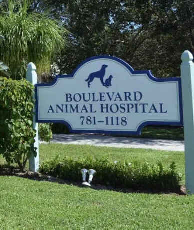 boulevard-animal-hospital-big-3