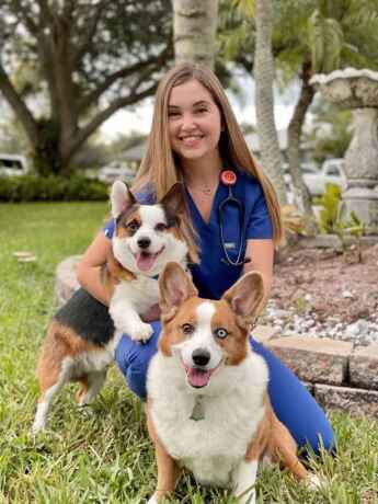 boulevard-animal-hospital-big-2