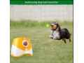 automatic-dog-ball-launcher-toy-small-0