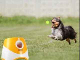 automatic-dog-ball-launcher-toy