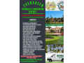 evergreen-sprinkler-and-landscaping-services-small-0