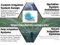 transform-your-outdoor-living-with-azul-landscaping-small-4