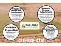 transform-your-landscape-with-elegant-walkways-with-bay-area-landscaping-small-5